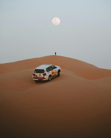 Desert Safari