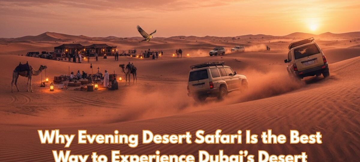 Evening Desert Safari