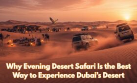 Evening Desert Safari