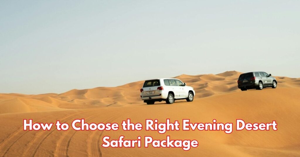 How to Choose the Right Evening Desert Safari Package