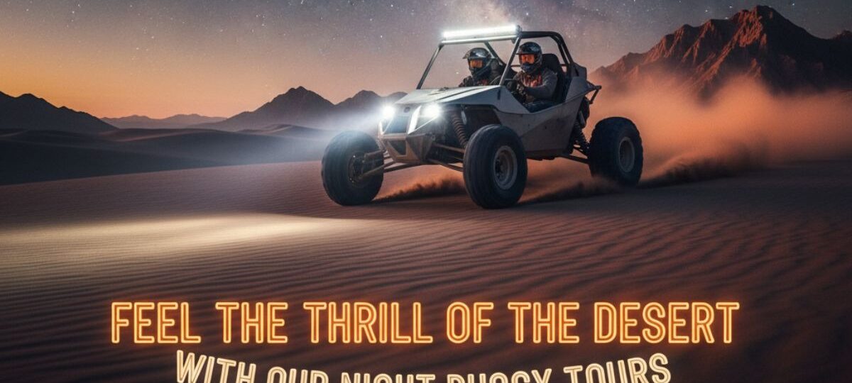 Night Buggy Tours