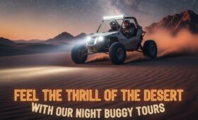 Night Buggy Tours