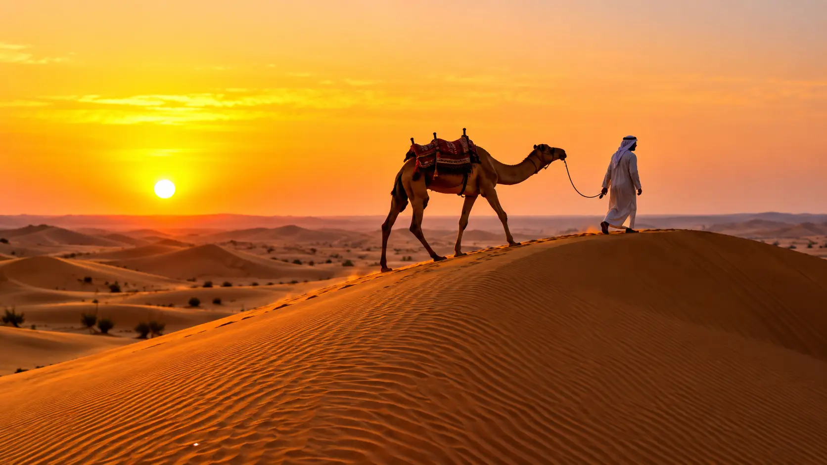 Morning Desert Safari